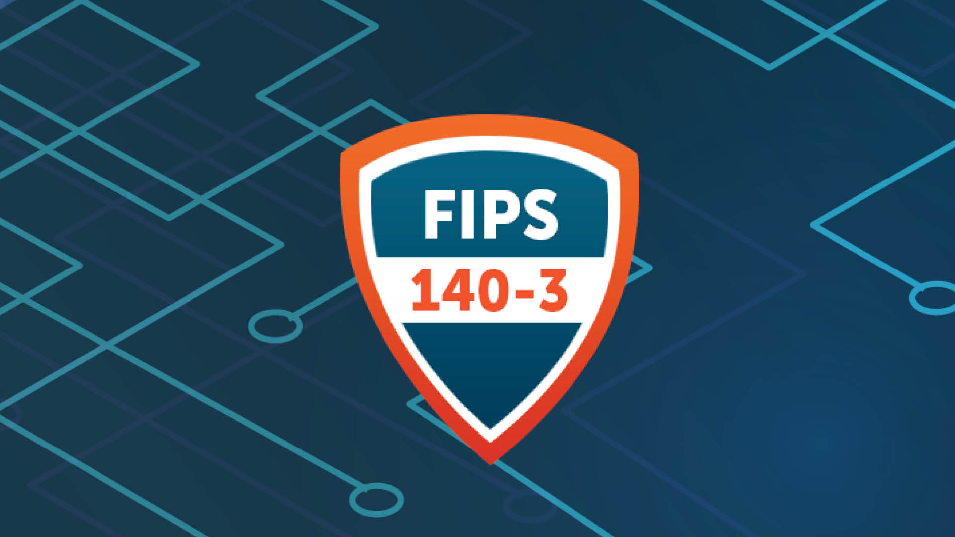What You Need to Know About FIPS